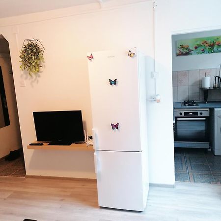 Romanilor - Studio First Floor Deva Dış mekan fotoğraf
