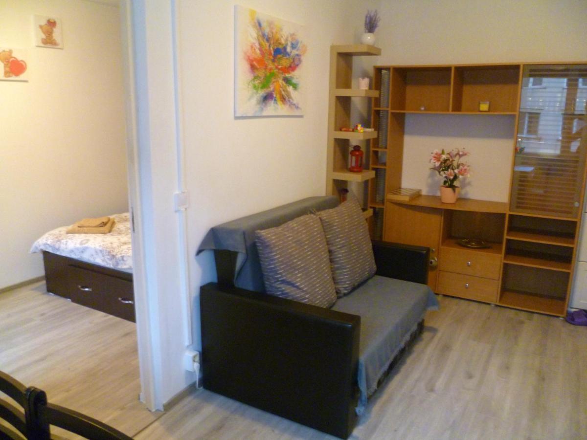 Romanilor - Studio First Floor Deva Dış mekan fotoğraf