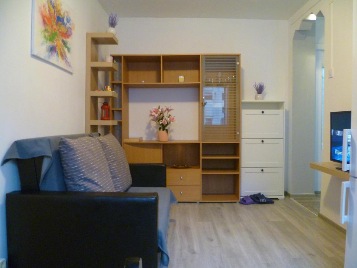 Romanilor - Studio First Floor Deva Dış mekan fotoğraf
